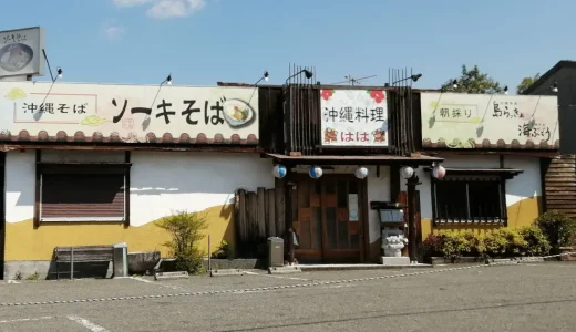 沖縄料理はは「沖縄そばも角煮もゴーヤも美味」（堺市南区）