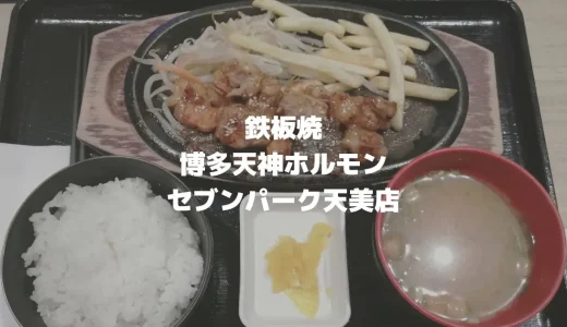 鉄板焼「博多天神ホルモン セブンパーク天美店」ホル玉丼やステーキ（松原市/河内天美）