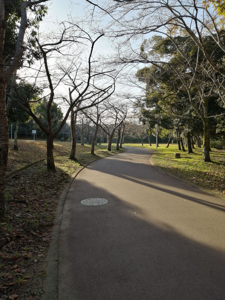 新檜尾公園から鴨谷台へ向かう緑道