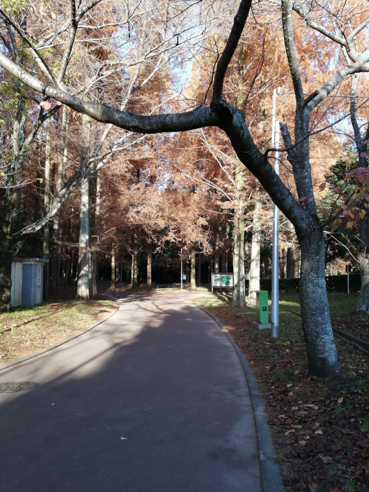 新檜尾公園緑道