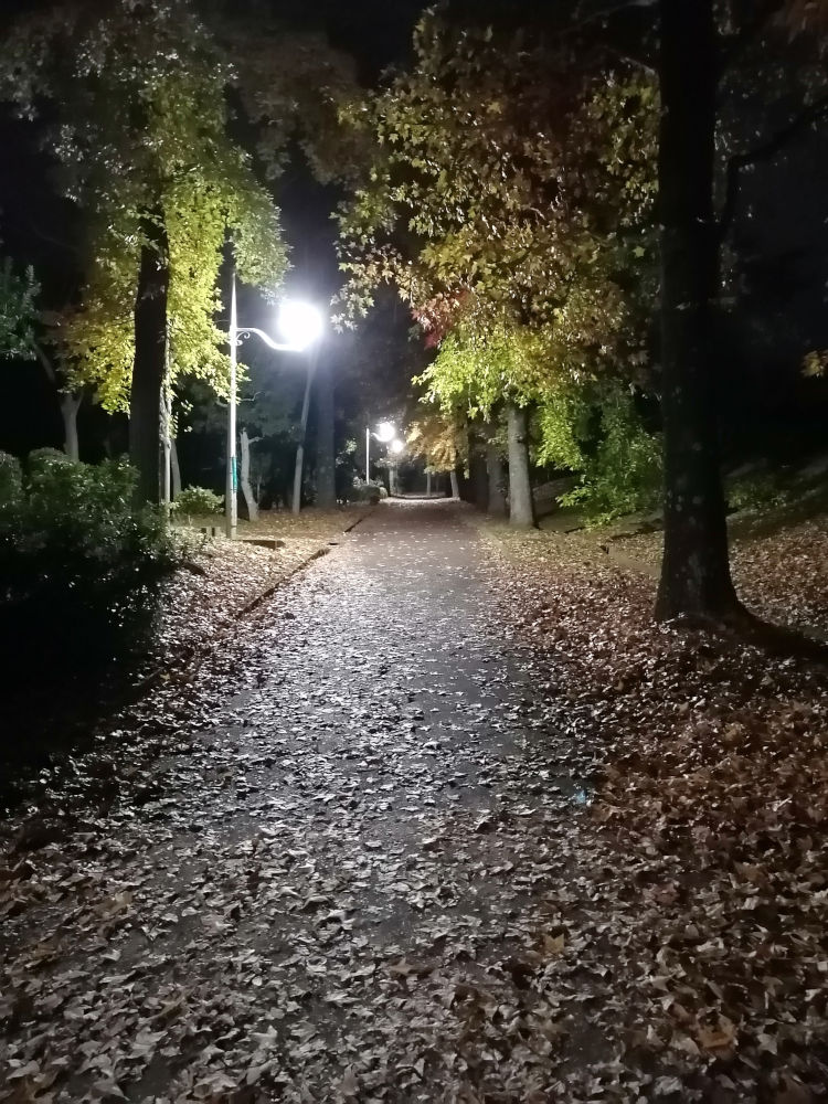 新檜尾公園　夜の道