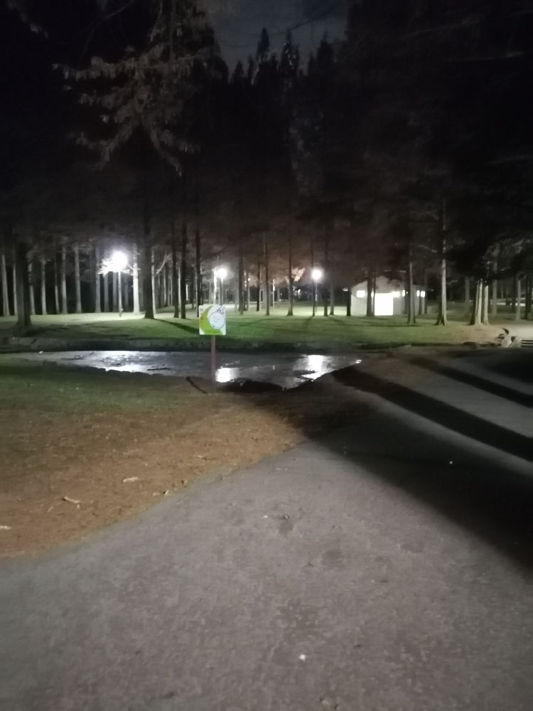 新檜尾公園　夜の池