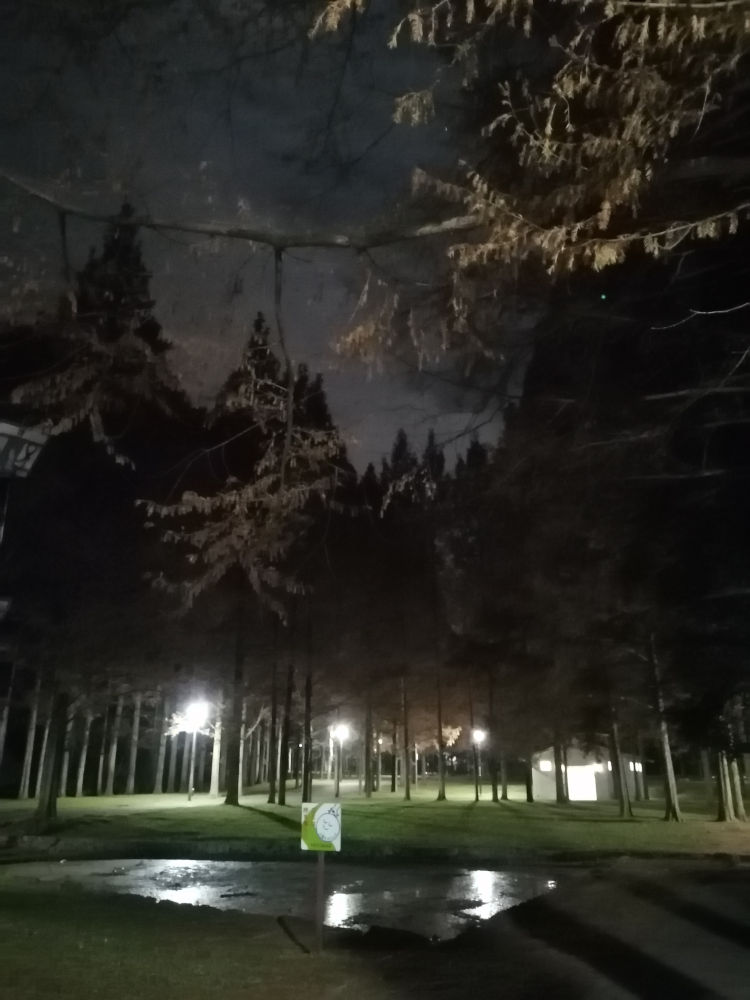 新檜尾公園　夜の池