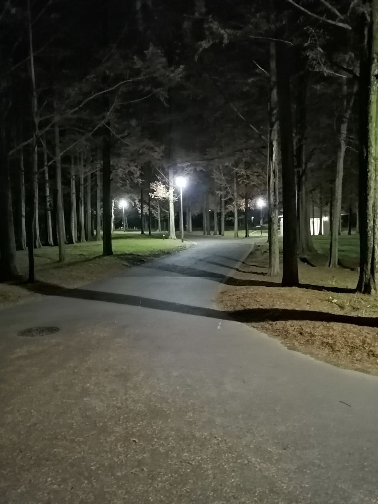 新檜尾公園　緑道