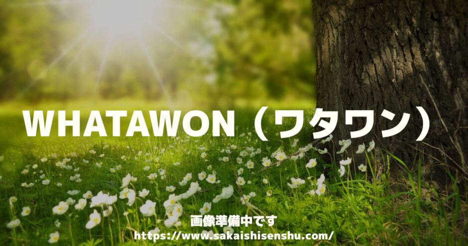 WHATAWON（ワタワン）【オープン】2023年秋～2024春～岸和田の蜻蛉池公園すぐ