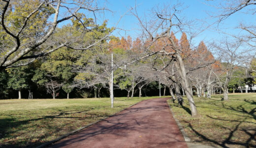 新檜尾公園から鴨谷公園の散歩～ノルディックウォーキングやグラウンドゴルフを楽しむ姿も