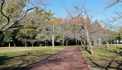 新檜尾公園から鴨谷公園の散歩～ノルディックウォーキングやグラウンドゴルフを楽しむ姿も