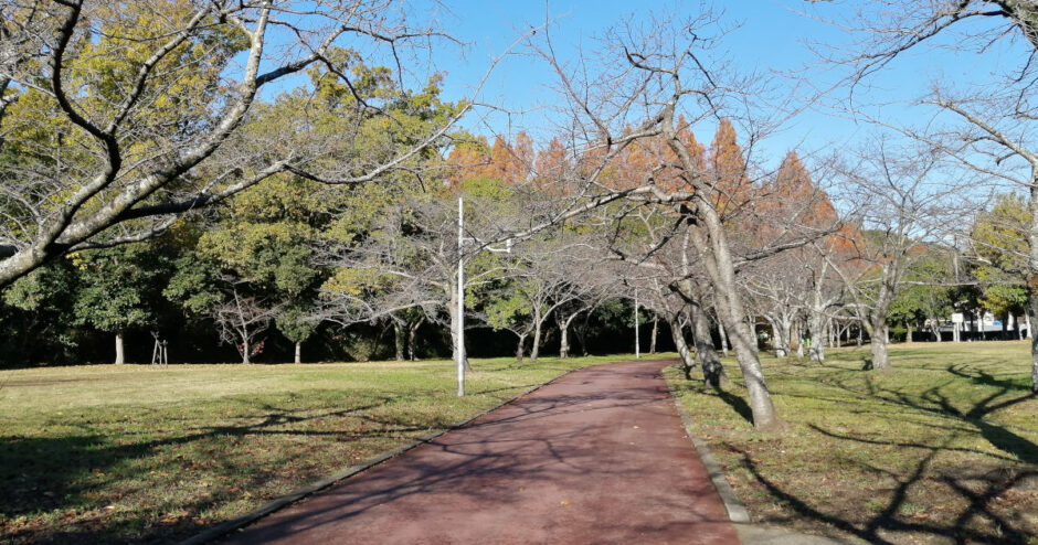 新檜尾公園から鴨谷公園の散歩～ノルディックウォーキングやグラウンドゴルフを楽しむ姿も