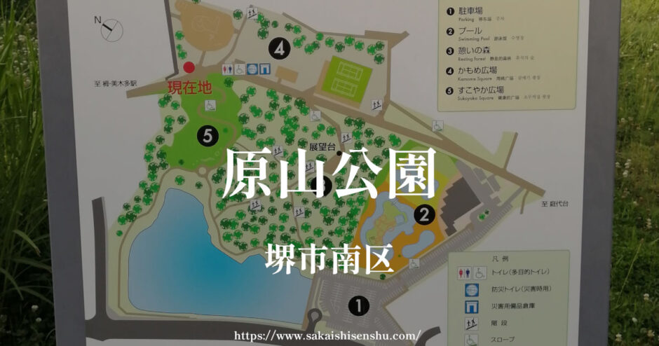 原山公園【堺市南区】ジム・プール・テニスコート・フットサル・ランチ・駐車場あり